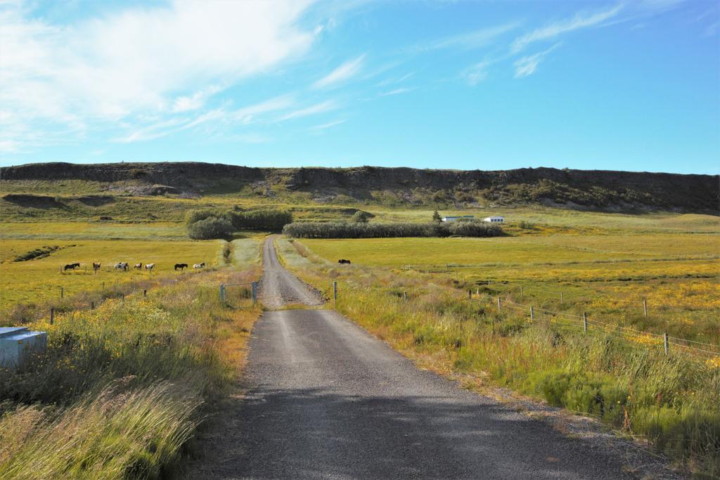 Greenkey Ranch - Fell Reykholt  Exterior photo
